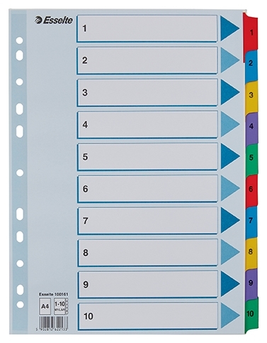 Esselte Registro in cartone Mylar A4 1-10