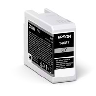 Epson Grigio cartuccia d'inchiostro da 25 ml T46S7 - Epson SureColor P700