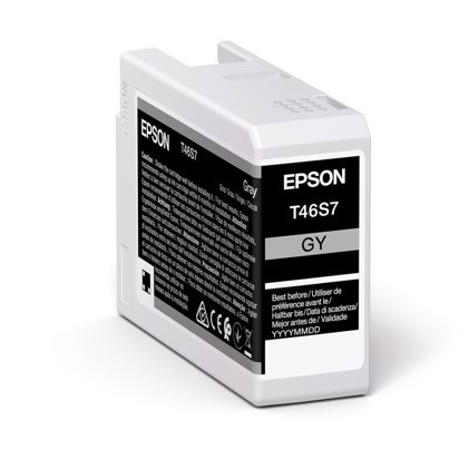 Epson Grigio cartuccia d\'inchiostro da 25 ml T46S7 - Epson SureColor P700