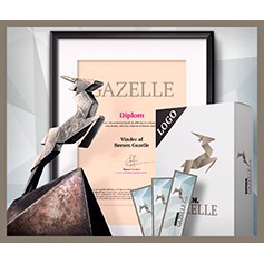 Børsen Gazelle azienda 2019!